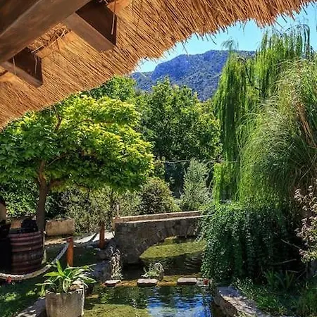 Amazing With New Private Pool,sauna,bbq Apartman *